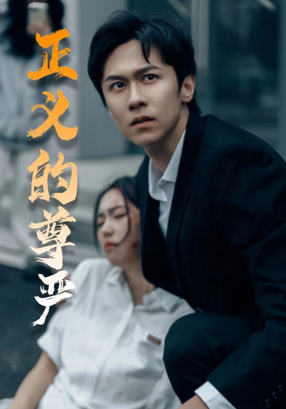 正义的尊严 第11集
