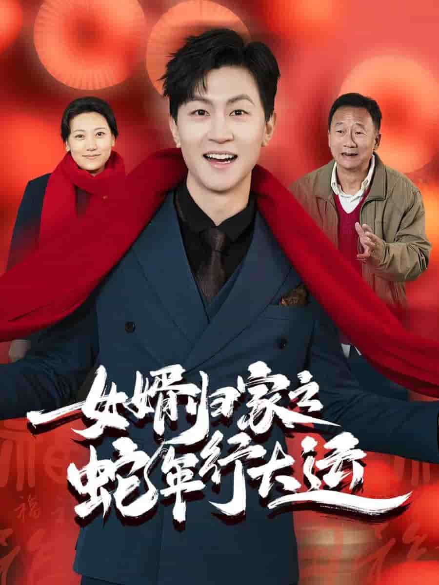 女婿归家之蛇年行大运 第30集