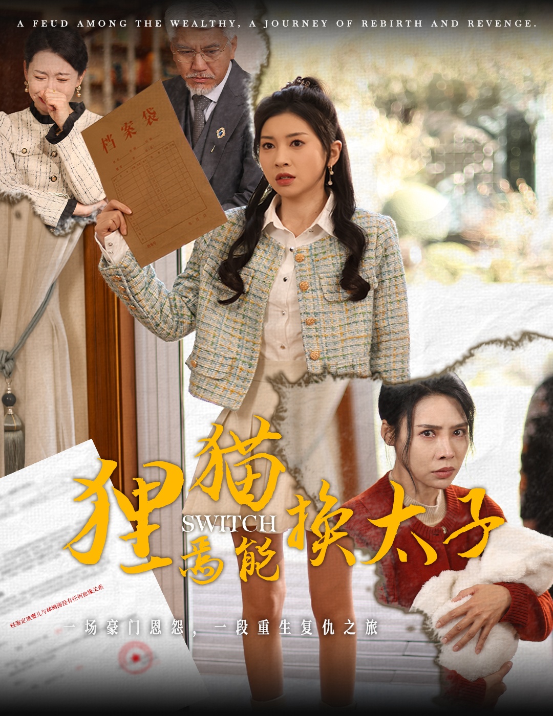 狸猫焉能换太子 第26集