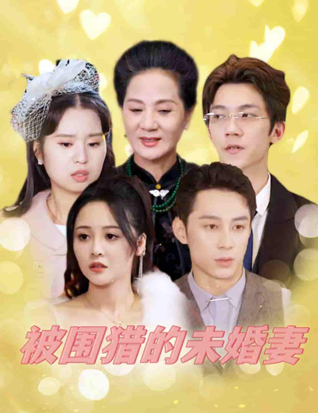 被围猎的未婚妻 第45集