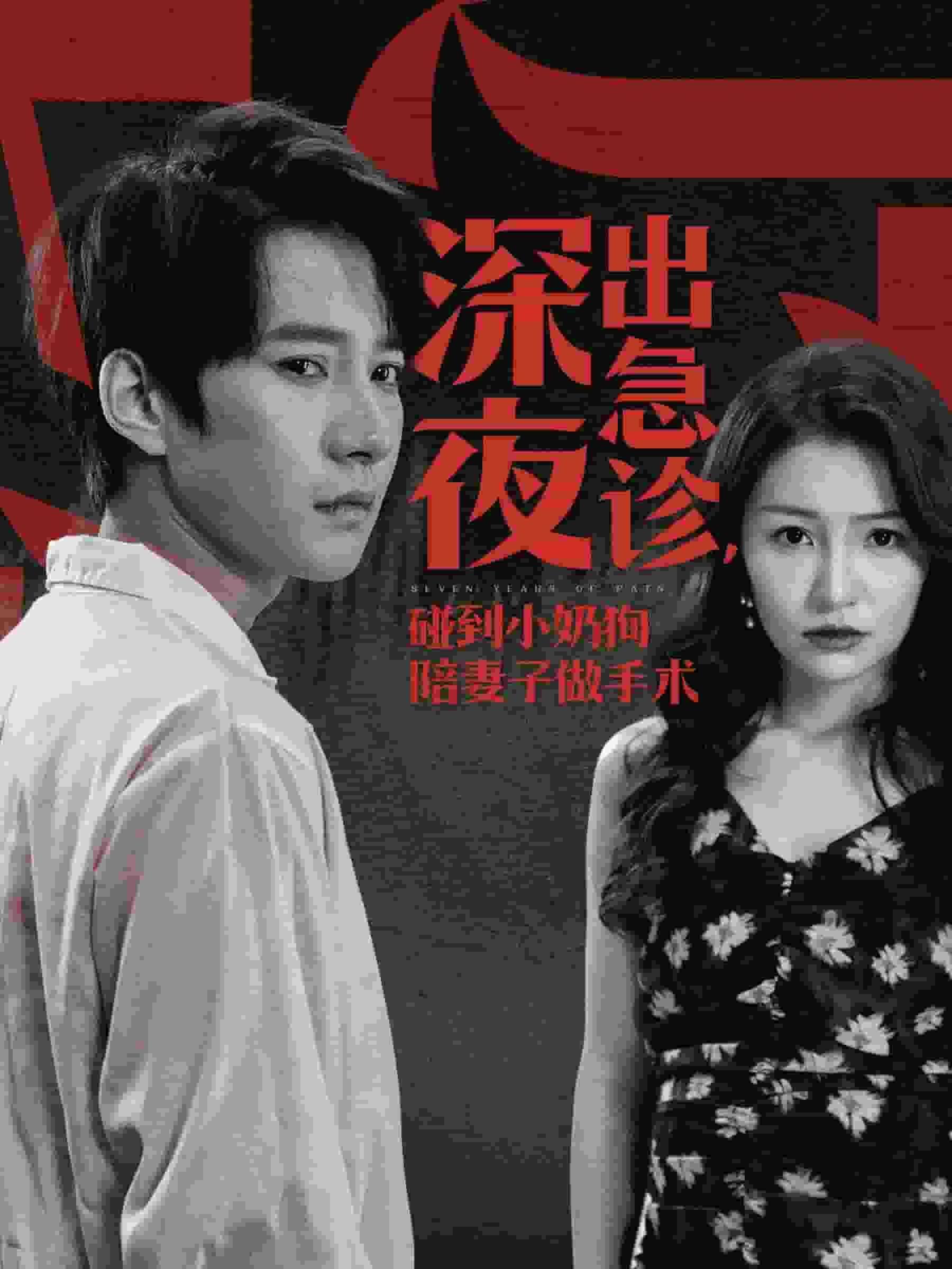 深夜出急诊碰到小奶狗陪妻子做手术 第38集