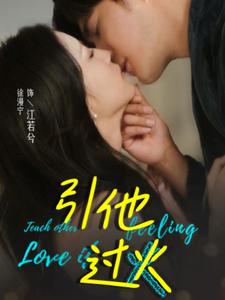 引他过火 第35集