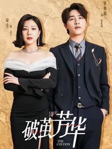 破茧芳华 第77集