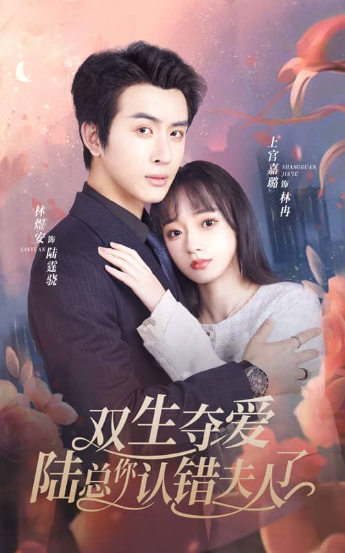 双生夺爱陆总你认错夫人了 第21集