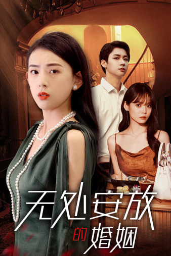 无处安放的婚姻 第8集