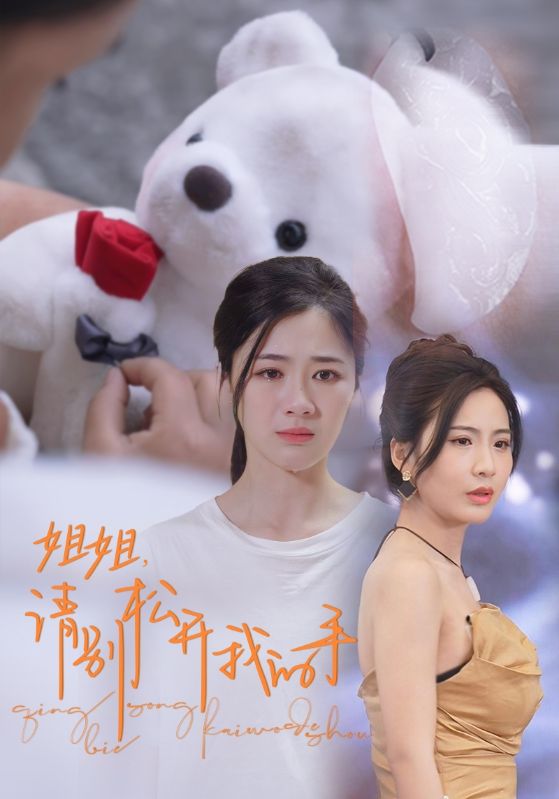 姐姐，请别松开我的手 第45集