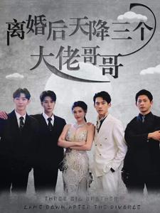 离婚后天降三个大佬哥哥 第8集