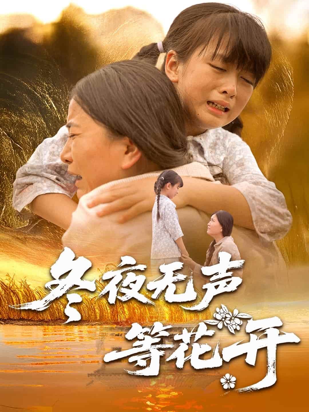 冬夜无声等花开 第01集