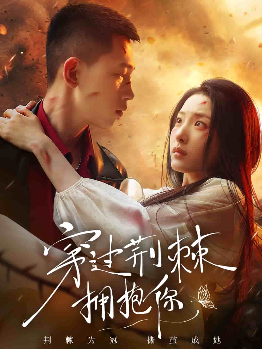 穿过荆棘拥抱你 第120集